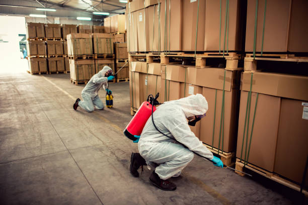 Best Flea Control Services  in West Haven, UT