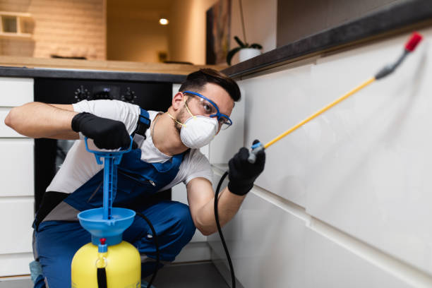 Best Affordable Pest Control Services  in West Haven, UT