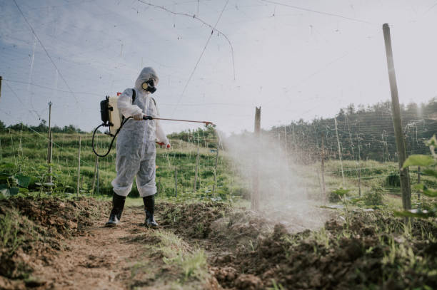 Best Mosquito Control Services  in West Haven, UT