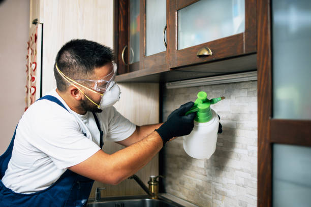 Best Affordable Pest Control Services  in West Haven, UT