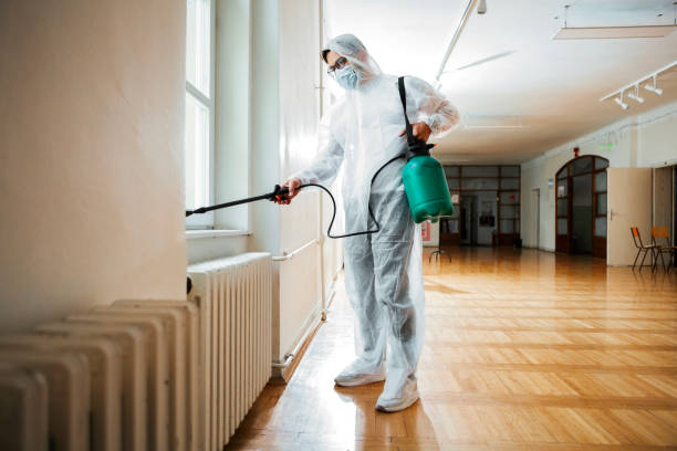 Best Local Pest Control Services  in West Haven, UT