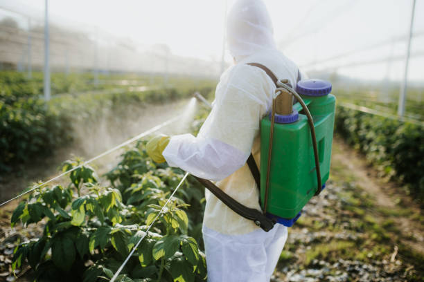Best Pest Control Near Me  in West Haven, UT